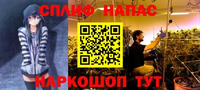 Альфа ПВП Дубна