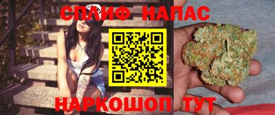 Альфа ПВП Дубна