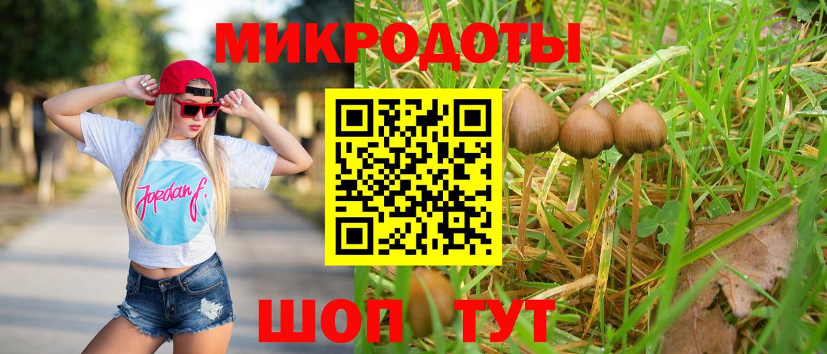 Псилоцибиновые грибы MAGIC MUSHROOMS  Галлюциногенные грибы мицелий  Дюртюли  Вход с VPN 