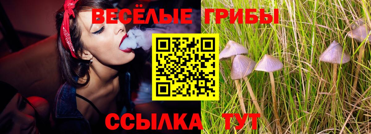 Псилоцибиновые грибы GOLDEN TEACHER Дюртюли